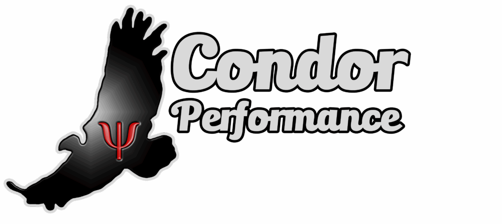 Sport Psychologists - Condor Performance